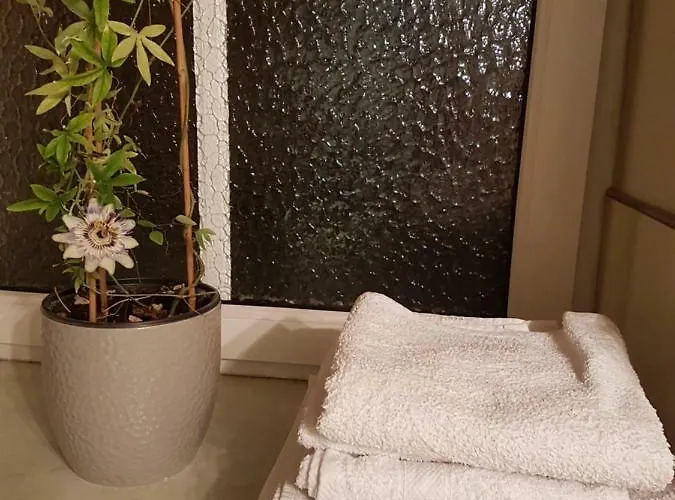 Ferienwohnung Mit Anbindung Zur City Und Natur * Magdebourg